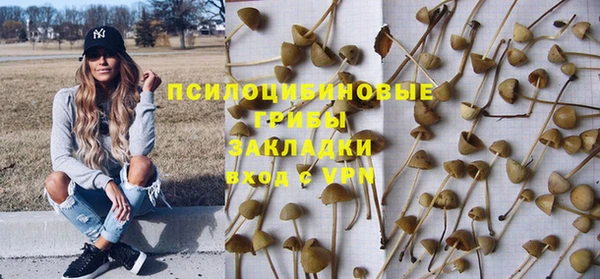 дживик Армянск