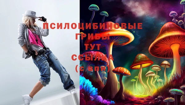 герыч Арсеньев