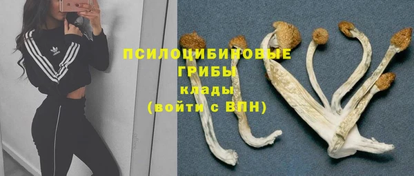 герыч Арсеньев
